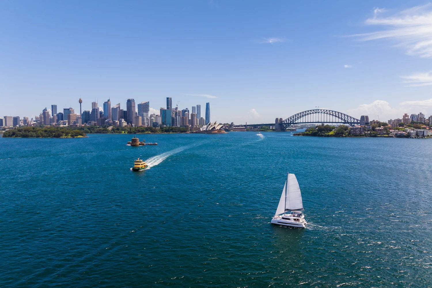 Luxury catamaran sailing under the Sydney Harbour Bridge with stunning city views
